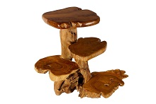 Kategoriebild Wurzelholz Regale & Blumentreppe