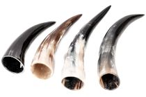 Kategoriebild Trinkhörner