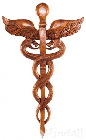 WINDALF Heilungs Wandbild CADUCEUS 42 cm Äskulapstab Wandrelief Handarbeit Holz - Windalf.de