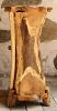 Baumstamm Schränkchen ~ INA ~ h: 103 cm - Minibar - Unikat aus Holz - ♥
