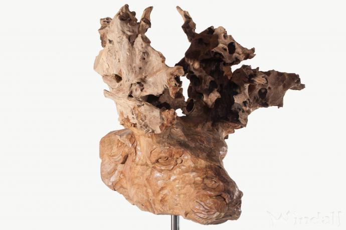 WINDALF Deko Elch RUDI 60 cm Unikat Handarbeit aus Wurzelholz - Windalf.de