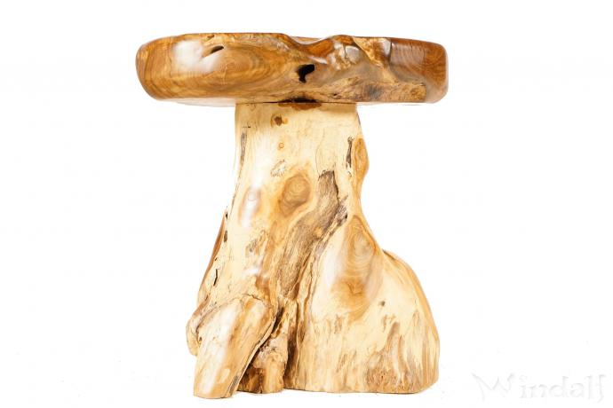 WINDALF Rustikaler Beistelltisch LOUDRES MOORA 45 cm Natur Sitzhocker Handarbeit aus Wurzelholz - Windalf.de