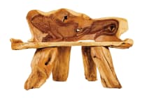 WINDALF Teak Sitzbank mit Leguan PASCAL 124 cm Tropische Lounge Garten Holzbank Handarbeit aus Wurzelholz WINDALF Teak Sitzbank mit Leguan PASCAL 124 cm Tropische Lounge Garten Holzbank Handarbeit aus Wurzelholz - Windalf.de