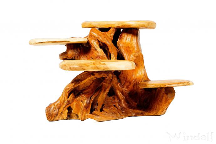 WINDALF Kleine Blumenbank ARINA 68 cm mit 4 Ablagen Holzregal Handarbeit mit Wurzelholz - Windalf.de