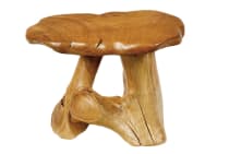 WINDALF Natur Beistelltisch OPHÄN 69 cm Kleiner Couchtisch Handarbeit aus Wurzelholz WINDALF Natur Beistelltisch OPHÄN 69 cm Kleiner Couchtisch Handarbeit aus Wurzelholz - Windalf.de
