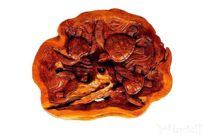 WINDALF Kaffeetisch mit 4 Schildkröten LAYLA  86 cm mit Glasplatte Premium Wohnzimmertisch Handarbeit aus Wurzelholz - Windalf.de
