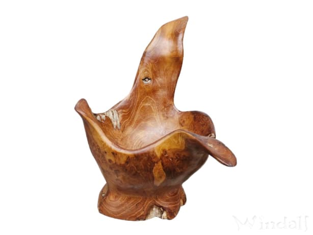 WINDALF Rustikale Holz Schale FABIENNE 27 cm Vielseitige Deko Schale Unikat Handarbeit aus Wurzelholz WINDALF Rustikale Holz Schale FABIENNE 27 cm Vielseitige Deko Schale Unikat Handarbeit aus Wurzelholz - Windalf.de